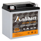 Ytx14-bs 12v Atv Battery High Performance - Maintenance Free - Sealed Etx14 Bs