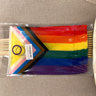 12pcs 8x12 Inch Intersex Progress Pride Flags Lgbt Progressive Inclusive