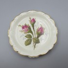 Rosenthal Germany Fine China Moss Rose - Coasters - Set Of Two