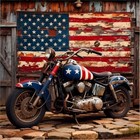 Paint By Numbers Kit For Adults  Independence Day Adults Paint By Mt22570