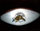 1990 s Cfl Hamilton Tiger-cats Autographed Football 44 Signatures Psa Loa