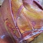 Beautiful Bright Red Rosarita Rough Red With Yellow And Orange Red Stripes