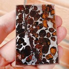 Sericho Pallasite Meteorite Slice From Kenya 40 60mm