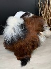 Xxl Natural Icelandic Sheepskin Rug Pelt Genuine Seat Cover Pet Bed Throw Decor