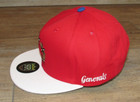 New Jersey Generals Usfl Trump Vintage Royal Retros Snapback Hat Cap Size Men s