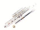 Mint-demo  Trevor James Privilege Pf B Foot Intermediate Step Up Flute  warranty