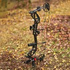 Compound Bow Set 30-70lbs Archery Hunting Kit 310fps Adult Arrow Target Practice