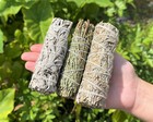 Smudge Set 3 Stick Sampler   White Sage  Blue Sage   Cedar  house Cleansing 