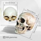 Lifesize 1 1 Human Skull Replica Resin Model Black Or White Gray 