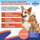 Probiotics   Prebiotics With Enzymes For Dogs And Cats - Digestive Gut Flora Hea