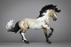 Breyer Custom Fireheart By Dan Van   s Custom Grulla Badger Faced Overo Mustang