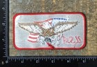 Vintage Usa Eagle American Flag Patriotic Travel Souvenir Embroidered Patch