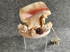 Vintage Seashell Lamp   Night Light  - 6-1 2  Tall - Beach - Marine - Nautical