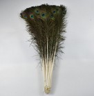 Wholesale 10-200pcs Beautiful Peacock Feather Eyes 25-95cm 10-38inches