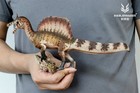 Haolonggood 1 35 Scale Spinosaurus Mirabilis Model Dinosaur Animal Decor Gift