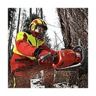 Pfanner Protos Integral Arborist Helmet - Yellow   Black  Adult