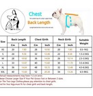 Chihuahua Puppy Sweater Coat Clothes For Small Pet Dog Warm Clothing Apparel Usa