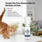 Cat Spray Deterrent System  Automatic Cat Deterrent Spray  Motion Activated Pet 