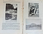 1931 Usda Bulletin 1660     Use Of Logs   Poles In Farm Construction Vintage