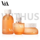 V a Beauty Antioxidant Skin Care Essential Set Ampoule Toner Cream 3pcs Set 