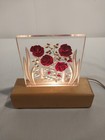 Vintage Lucite Mid-century Modern  Retro Art Deco Encased Roses Lamp Unique  