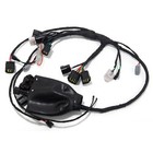 For Sur-ron Light Bee Lbx Full Main Wire Wiring Assy Harness Electric Bike Ebike