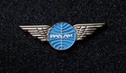 Pan Am Wings Wing Pin Metal Replica Panam