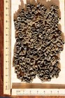 Lot Of Brass Type Bookbinding Gilding Bookbinder Characters Leather Art Nouveau 