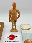 Acupuncture Man 10 5  Inch Educational Med Figure Pressure Points W  Box   Chart