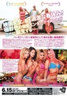 Spring Breakers 2012  Mini Movie Poster Flyer Japan B5 1sheet