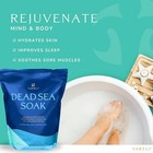 Dead Sea Bath   Foot Soak  Unscented Magnesium Bath Salt Flakes 