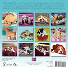 Pooped Puppies 2026 Mini Wall Calendar  Cute   Funny Dog 
