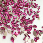 100pcs Small Shape Crystal Rose Red Czech Crystal Rhinestone Flatback Nail Art