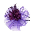 Women Fascinators Hat Feathers Tea Party Hair Clip Veil One Size Purple