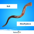 Halleluyah 28 -32  Half-polished Kudu Shofar From Israel With Anti-odo Spray