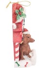 Kurt Adler Dog With Doghouse Christmas Ornament Dachshund Personalizable