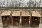 4 Cedar Bird Houses  2 Wren   2 Chickadee  Or Mix   Match  Natural Or Scorched