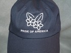 Ncl Cruise Line  pride Of America  Ship Navy Ball Hat Sport Golf Cap