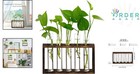 Wall Hanging Garden Planter With 5 Glass  Tubes Indoor Plant Decor