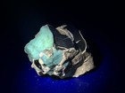 Beautiful Lower Eagle Ford Uv-reactive Partial Concretion  Grand Prairie  Texas 