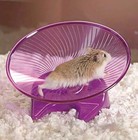 Ware Manufacturing Flying Saucer Exercise Wheel For Small Pets  5-inch - Colo   
