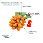 Premium Wild Caught Mini Size Abalone 1lb70-80ps  0 5lb 35-40ps                                    