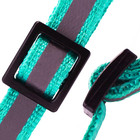 18pcs Puppy Collars  Reflective Whelping Litter Collar  Unbreakaway