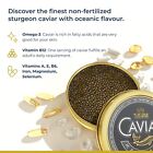 Tsar Caviar Imperial Kaluga Fusion Black Caviar Overnight Delivery