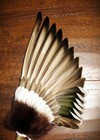 Drake Native American Smudge Feather Fan Antler