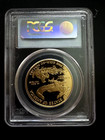2008-w  50 1-oz Proof American Gold Eagle Pcgs Pr70dcam Blue Label