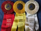 Eaton Canyon Riding Club Vintage Horse Show Ribbons Awards Equestrian Events