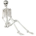  6ft Halloween Skeleton Life Size Posable Realistic Full Body Bone Skeleton Prop