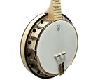 Deering Goodtime Two 5-string Resonator Banjo W  Gig Bag