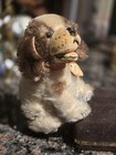 Steiff Vintage German Made Cockie Cocker Spaniel Plush Stuffed Dog - Circa 1955